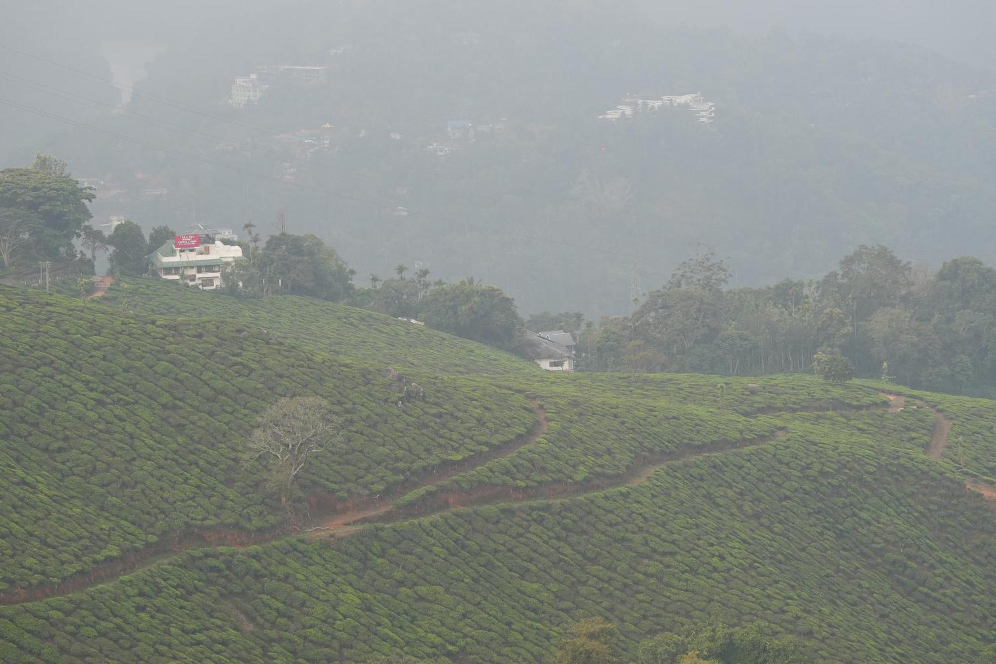 Misty Bush Munnar Bed & Breakfast Eksteriør bilde