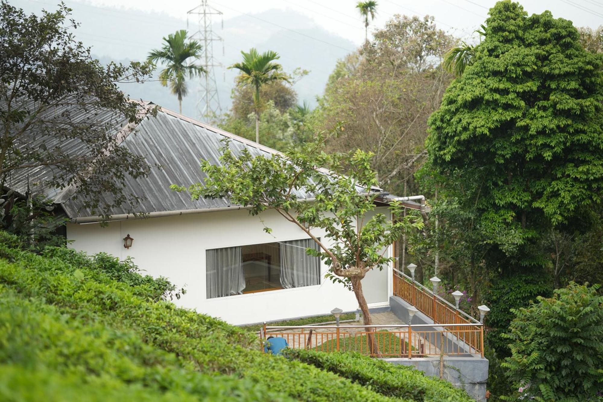 Misty Bush Munnar Bed & Breakfast Eksteriør bilde